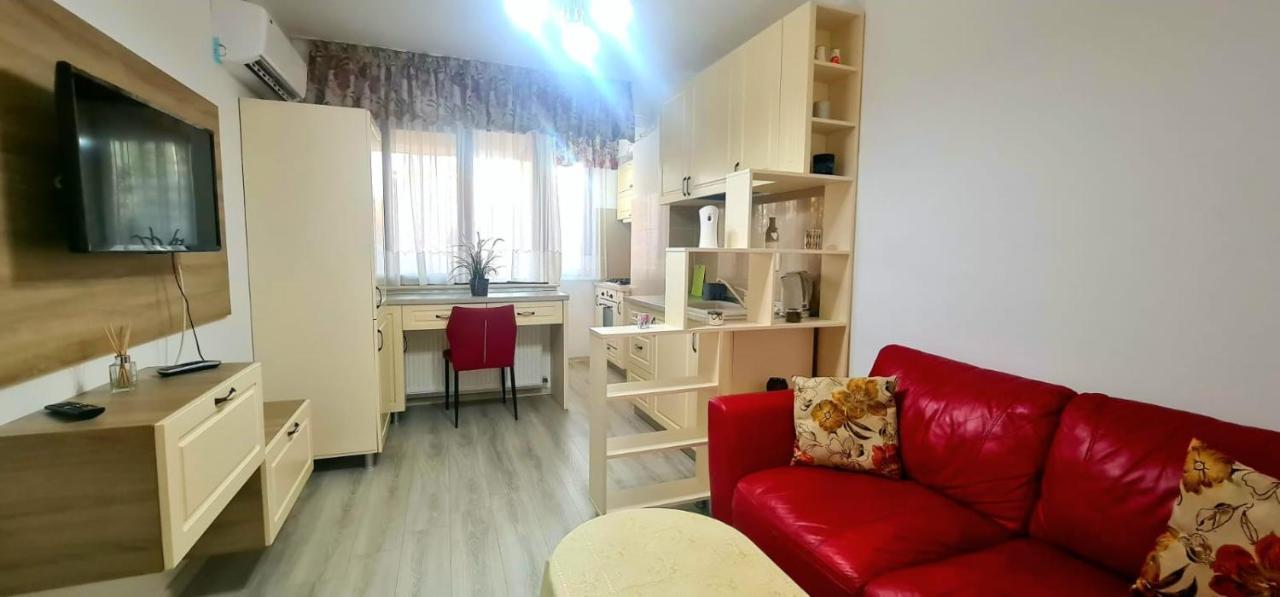 Elyse Comfortable Apartment Close To Palas Mall Iasi Exterior photo